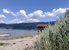 Uferkunst Bregenz