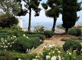 New National Museum of Monaco - Villa Paloma