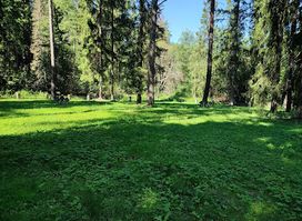 Prison Camp Cemetery