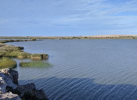 Point Malcolm