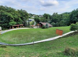 Summer bobsled