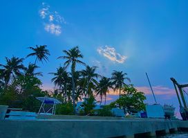 Moho Caye Dock