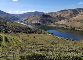 Magnifico Douro Events Ltd