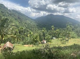 Sri Lanka Knuckles Trekking