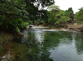 Rarru Rentapao River Cascade Tours
