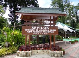 Pusat Pemuliharaan Orang Utan Sepilok