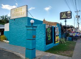 Jade Monkey Casino Bar and Grill