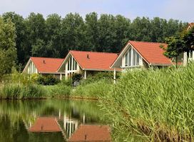 Ardoer Camping en Villapark De Paardekreek