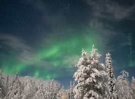 Arctic Explore Tours