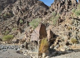 Wadi Saham -Petroglyph
