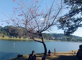 City Sightseeing Dalat - Vietnam Sightseeing