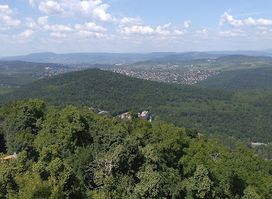 Elizabeth Lookout