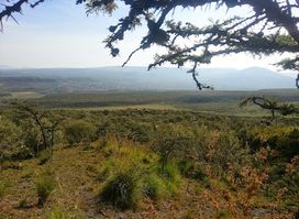 Mount Longonot National Park