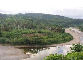 Navua