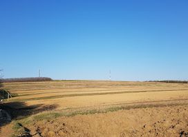 Bălănești Hill