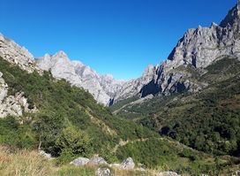 Mirador del Tombo