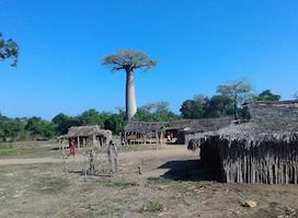Réserve spéciale d'Andranomena