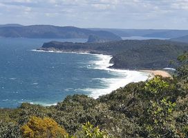 Marie Byles Lookout