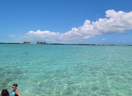 Island Dream Tours (YOLO)