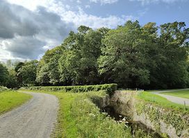 Killruddery Lime Avenue Walk