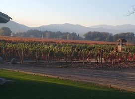 Rayuela Wine & Grill, viña viu manent