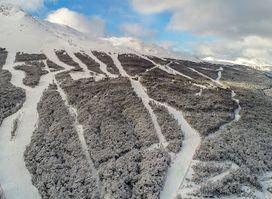 Cerro Castor