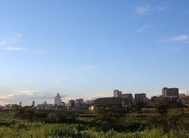 Braeside City View