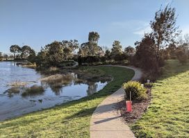 Dickson Wetland