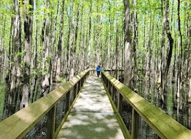 Louisiana Purchase State Park