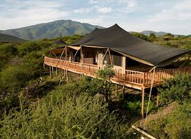 Affordable Kilimanjaro