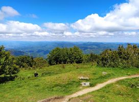 Monte Falterona