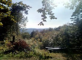 Magura Wątkowska