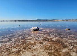 Larnaka Salt Lake Viewpoint 2