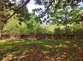 මාස්තොට පිරිවෙන- අභයගිරිය