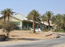 Ein Gedi beach water