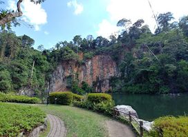 Bukit Batok Nature Park Lookout Point
