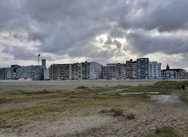 Vlaams Natuurreservaat De Baai Van Heist