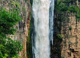 Kalambo Falls Forest Reserve