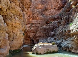 Dades Valley Activities