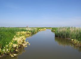Marker Wadden