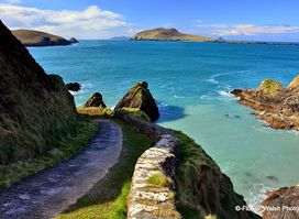 Dingle Slea Head Tours