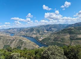 Viewpoint of São Leonardo de Galafura