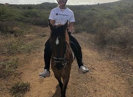 Rancho Alegre Curacao
