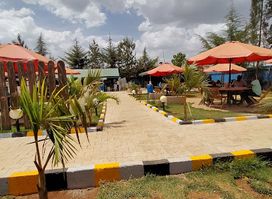 TAMASHA ELDORET