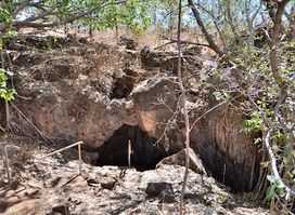 Cutta Cutta Caves Nature Park
