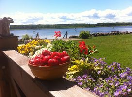 Guest House and Camping in Jurmala