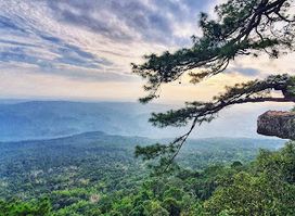 Phu Kradueng National Park