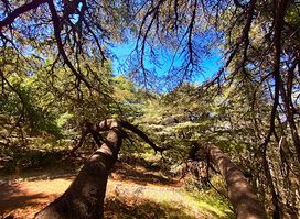 BAROUK RESERVE