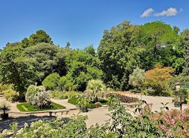 Jardin des plantes de Montpellier