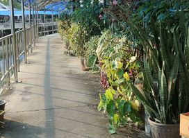 Ban Nam Chieo Home Stay